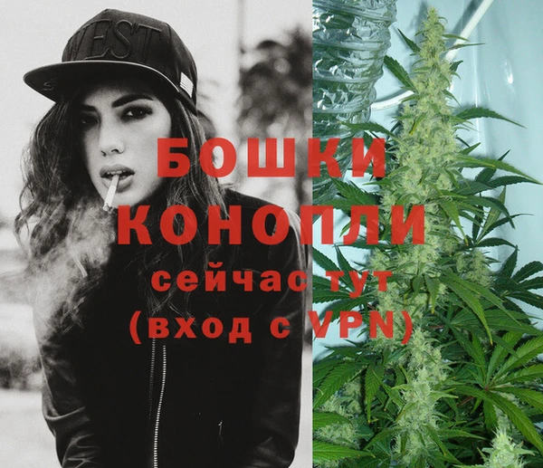 бошки Новодвинск