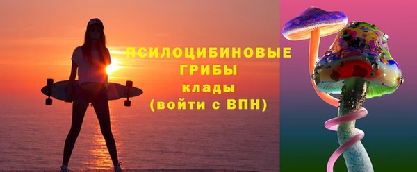 бошки Новодвинск