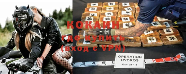 прущие грибы Новокубанск