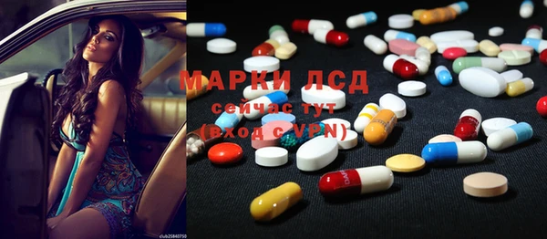 прущие грибы Новокубанск