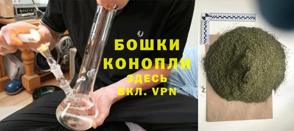 прущие грибы Новокубанск