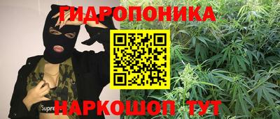 стафф Кандалакша