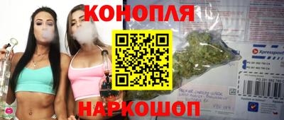 стафф Кандалакша