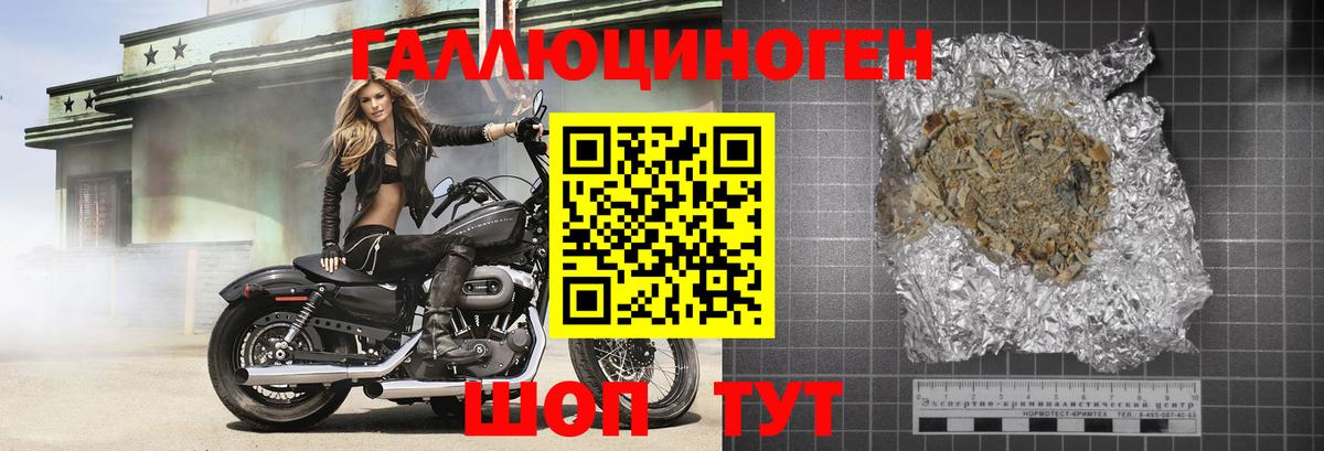 Галлюциногенные грибы прущие грибы Осинники