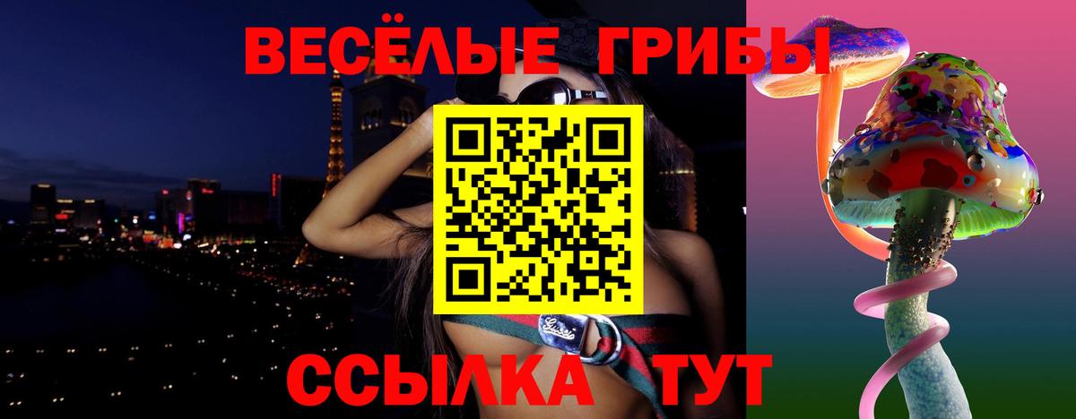 Осинники  наркота  Вход с VPN  Галлюциногенные грибы Magic Shrooms 