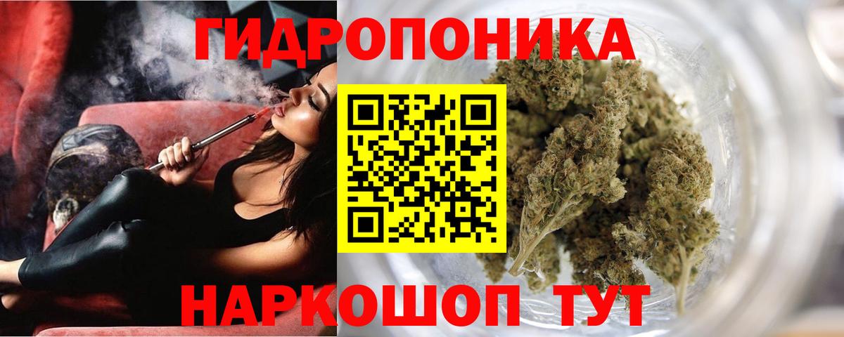 Осинники  Бошки марихуана план  Шишки марихуана индика  Вход с VPN  МАРИХУАНА Ganja 